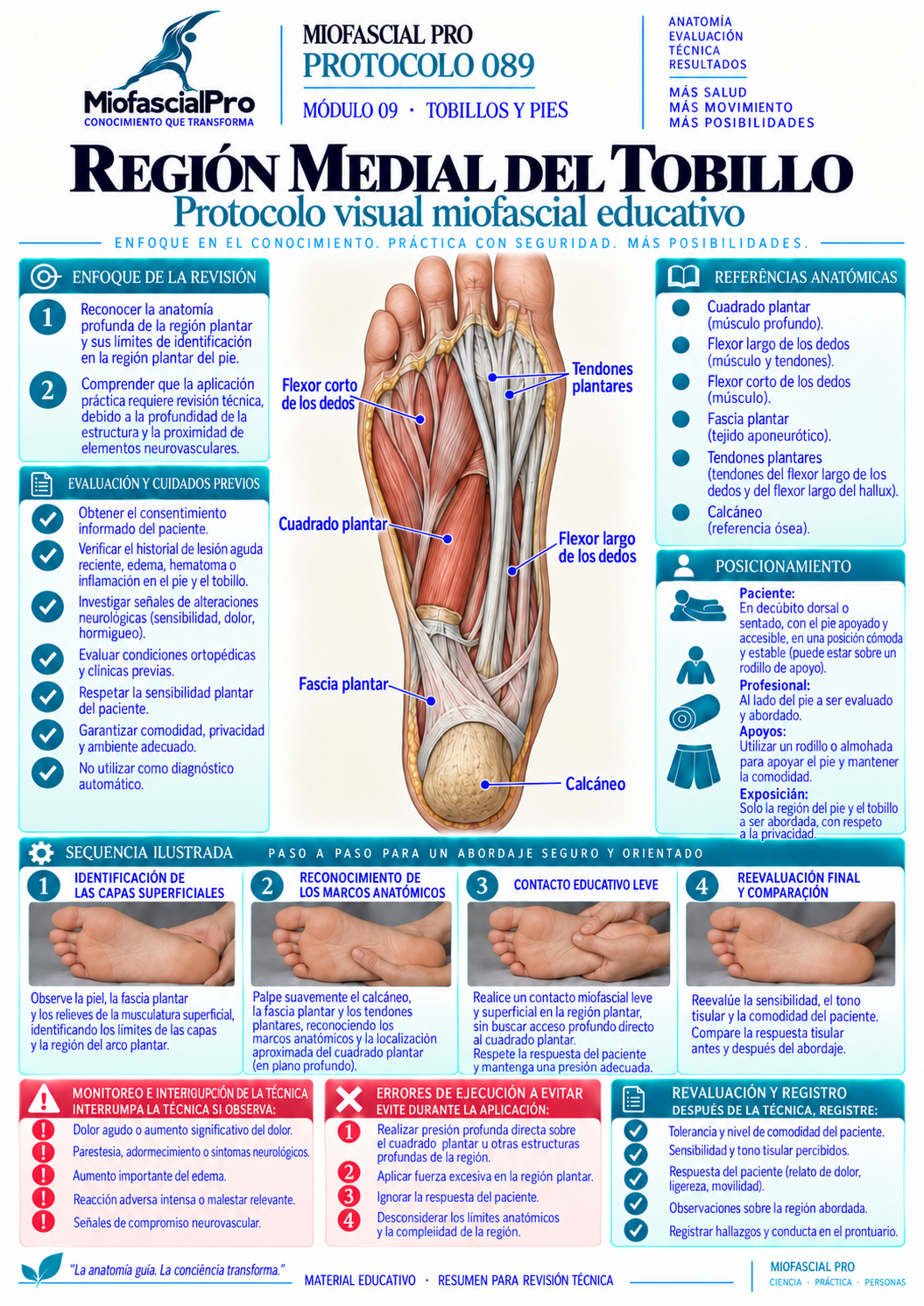 Protocolo 089 — Región medial del tobillo
