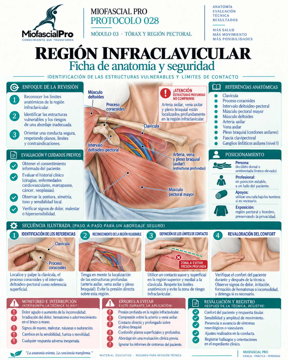 Protocolo 028 — Región infraclavicular