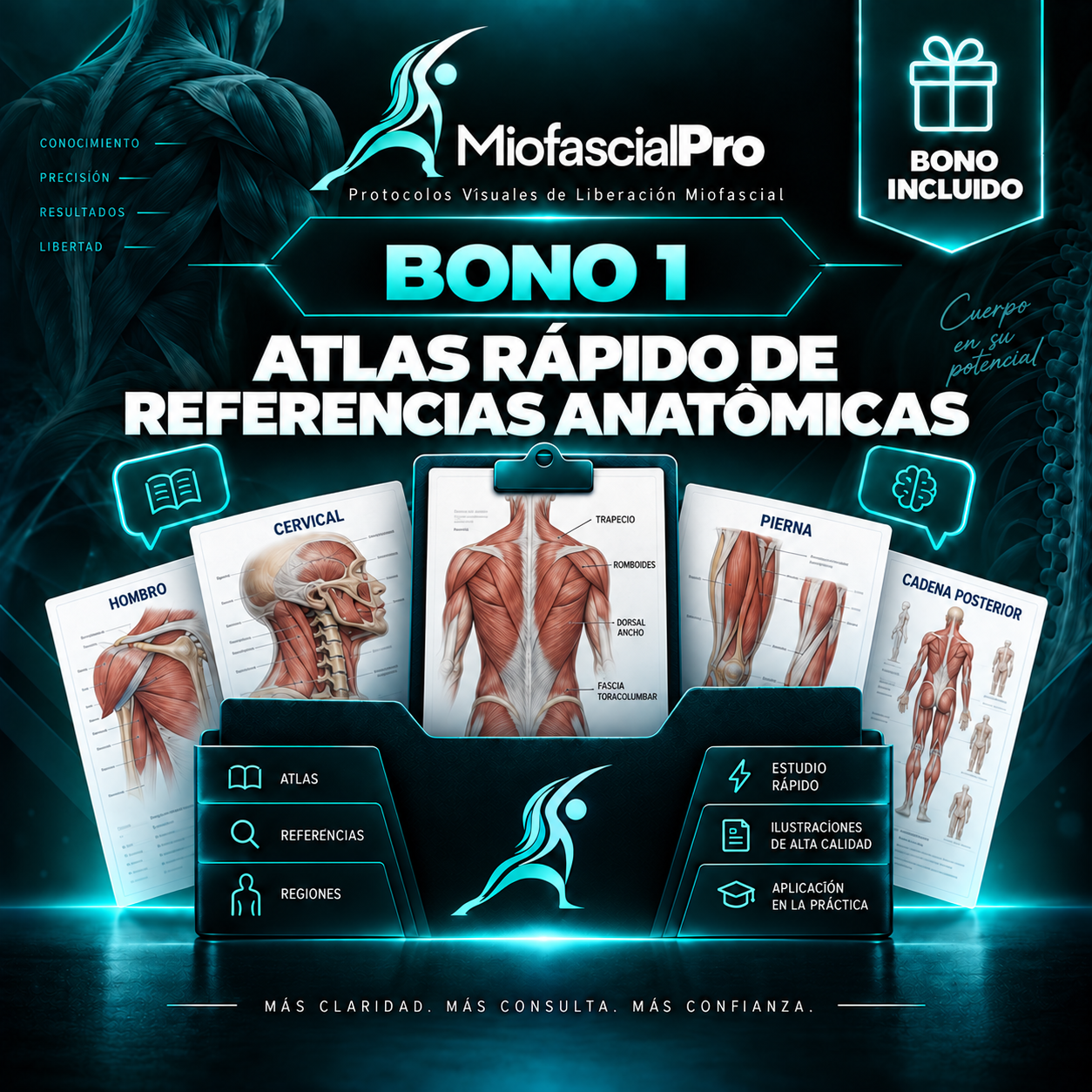 Bono 1: Atlas rápido de referencias anatómicas