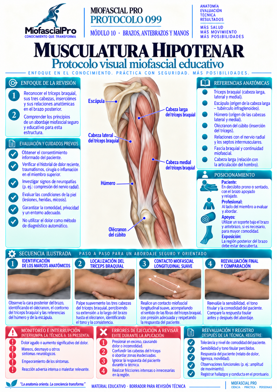 Protocolo 099 — Musculatura hipotenar